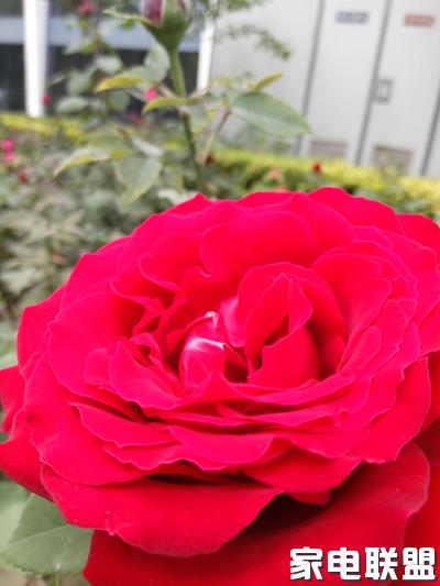 乐视乐2手机开箱视频,乐视性价比最高机型