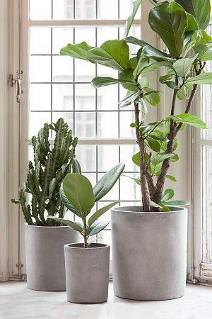 性冷淡风最好的方法,性冷淡风如何用药