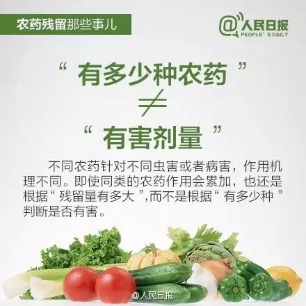 你常吃的蔬菜是用甲醛泡出来的,这几种蔬菜没煮熟的别吃有毒