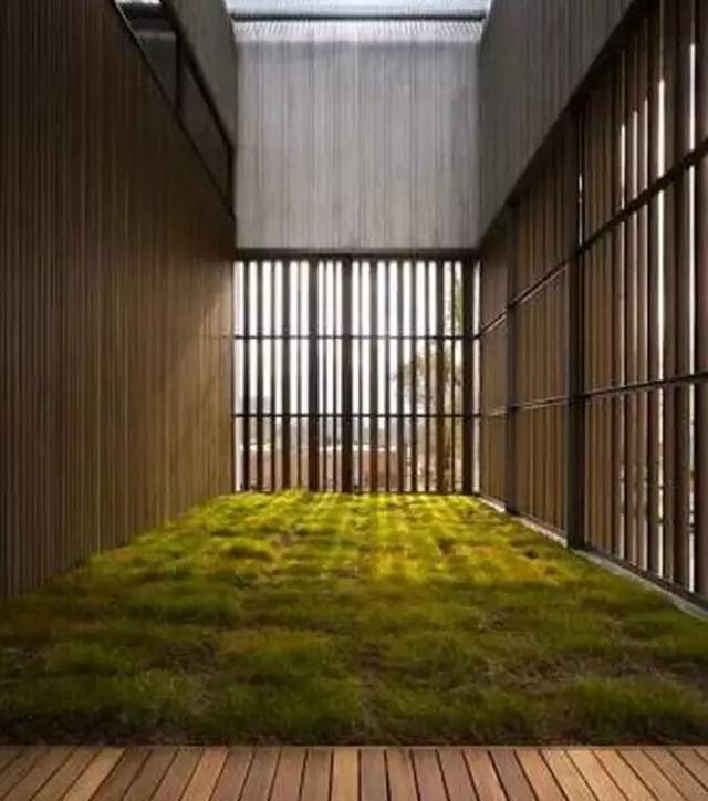 苔藓盆栽制作方法,苔藓植物盆栽制作