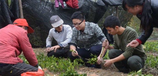 青马是什么马图片,大青马和一般的马
