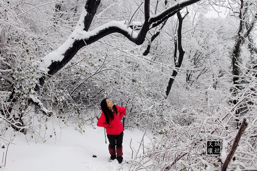 赏雪何须去北国,赏雪不用去远方