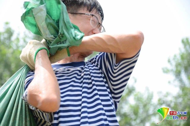 青马是什么马图片,大青马和一般的马