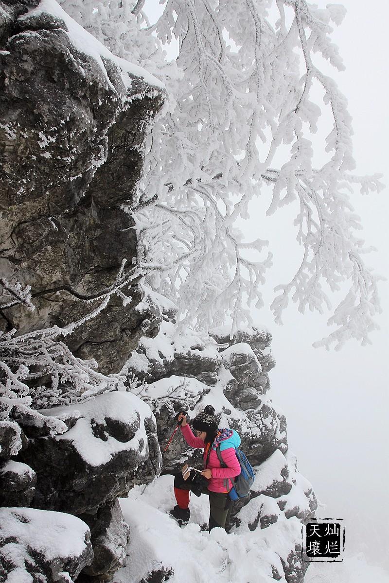 赏雪何须去北国,赏雪不用去远方