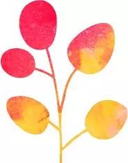 学习阳明心学的成长和感悟怎么写,学习阳明知行合一