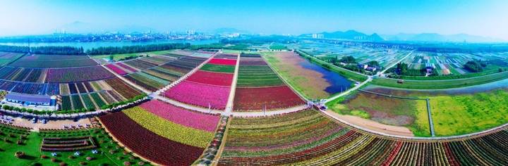 三个维度绘好乡村振兴美丽画卷,乡村振兴的三生三美画卷徐徐展开