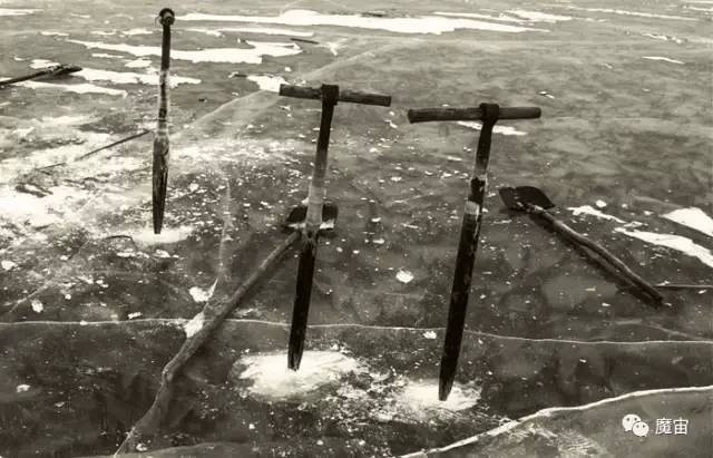 豆瓣日记:北漂杀人回忆：老家回不去，城里留不下，你叫我去死？|北洋夜行记024