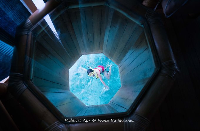 马尔代夫蓝色美人蕉岛,马尔代夫蓝色美人蕉旅游攻略