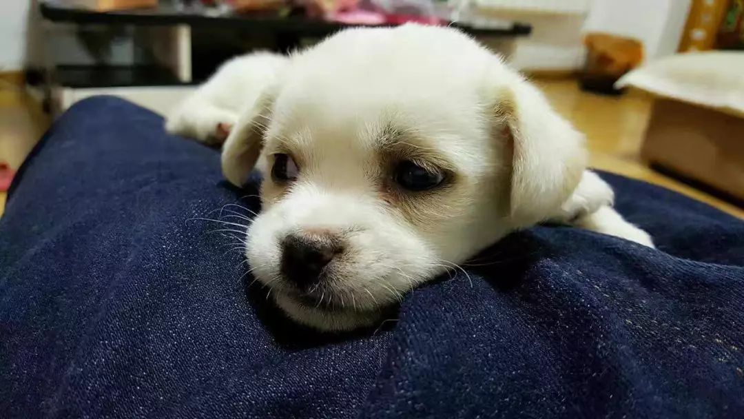 创业维艰阅读,创业维艰的感悟