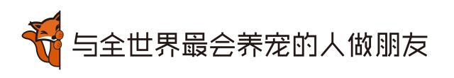 爱妖经陪你过暖冬｜爱要有你才温暖