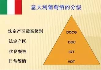 xo和vsop喝起来什么区别,vsop到底怎么喝