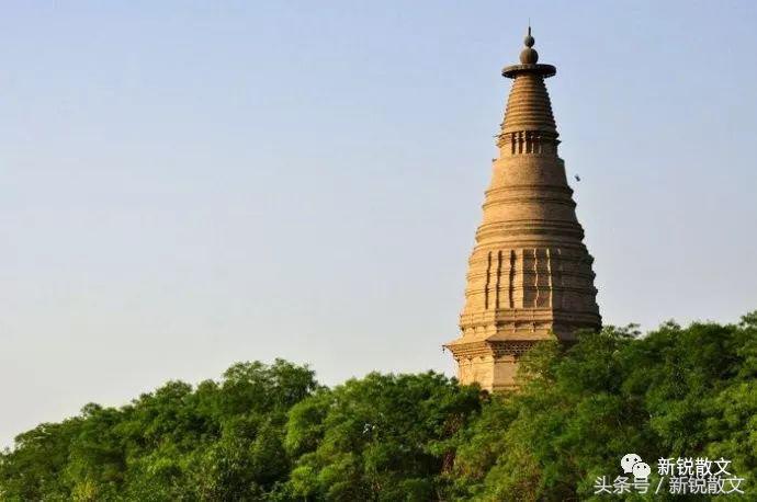 骞崇綏鍛ㄨ竟閮芥湁鍝簺鍦版柟,骞崇綏鏈濋槼琛楀湪鍝釜鍦版柟