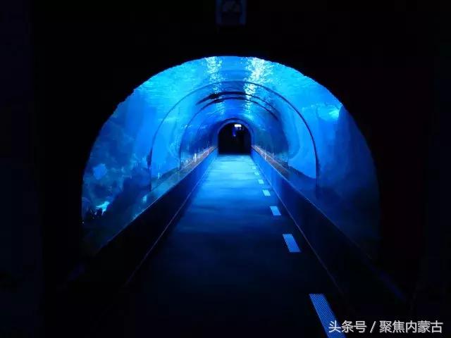 鄂尔多斯海洋馆开放时间,鄂尔多斯海洋馆旅游攻略