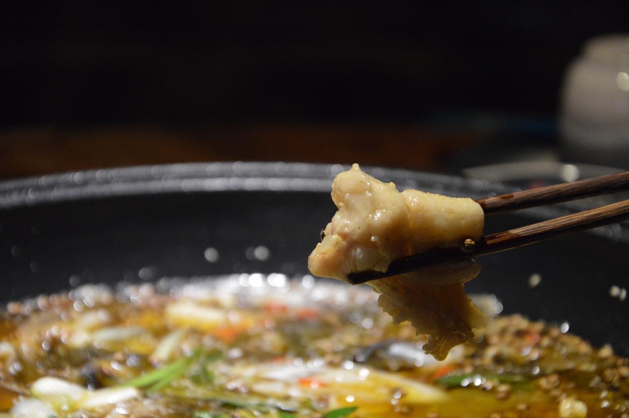 石家庄荣鼎ZooMall“吃货”齐聚，与萌宠和美食完美邂逅！