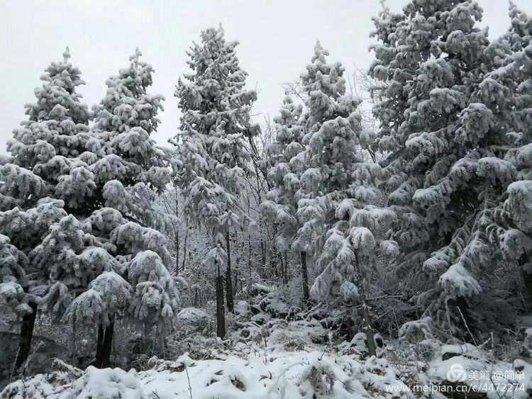 天池长白山雪岭,雨天天池山