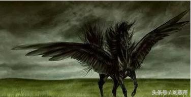 计算机平面设计有前途吗,学平面设计海报前途如何