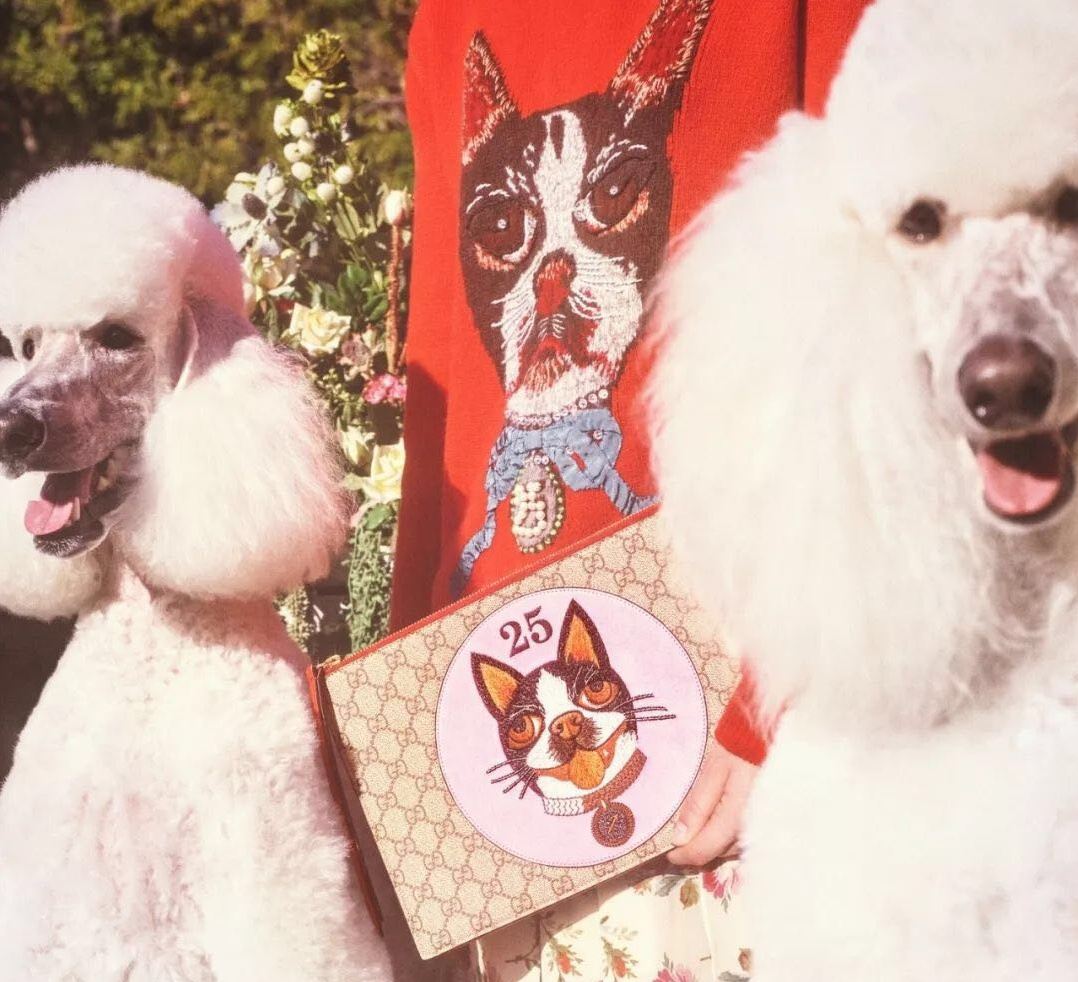 Gucci示范狗年限量，中国生肖正确打开方式！