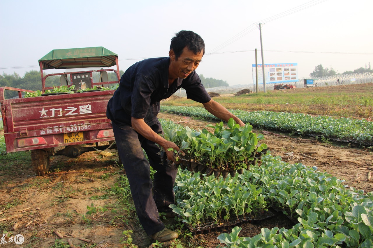 返乡军哥的农村,回农村军哥