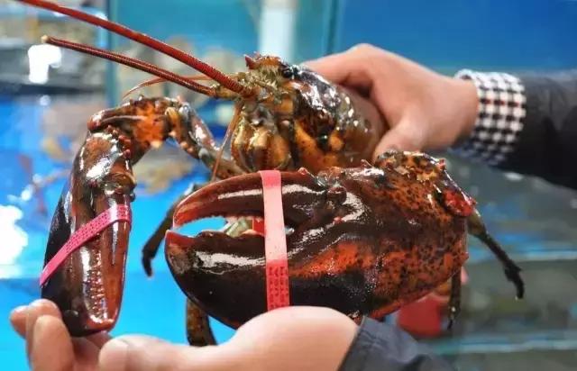 武汉这些美味的小吃,武汉的美食有多吸引人