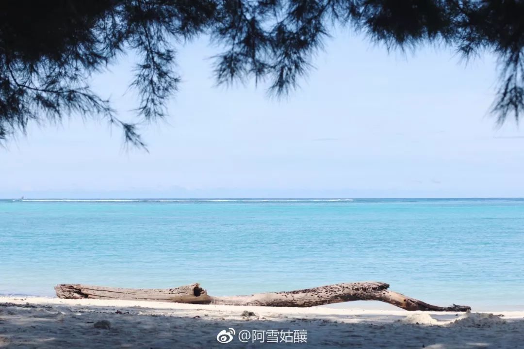 沙巴美人鱼岛该怎么去,美人鱼岛到机场