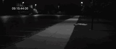 被闪电击中的人会怎么样,被闪电击中得到永生