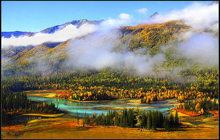 送礼新鲜玩意,从新疆去内地带什么特产