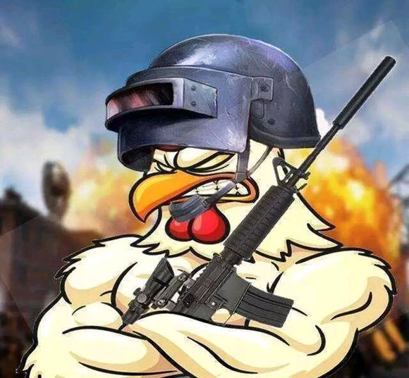 绝地求生电脑8g能玩吗,绝地求生吃鸡帧数调到多少最好