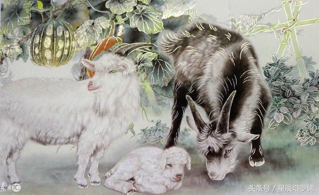 羊人出生日,羊人出生月