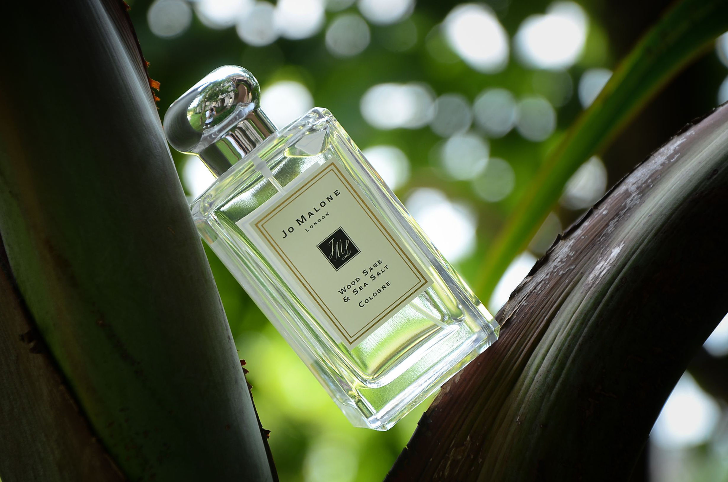 情人节男士香水排行榜前十名,适合秋冬季节的男香水