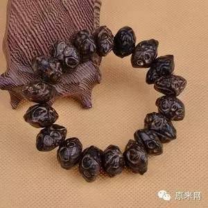 菩提本无树，果实作文玩