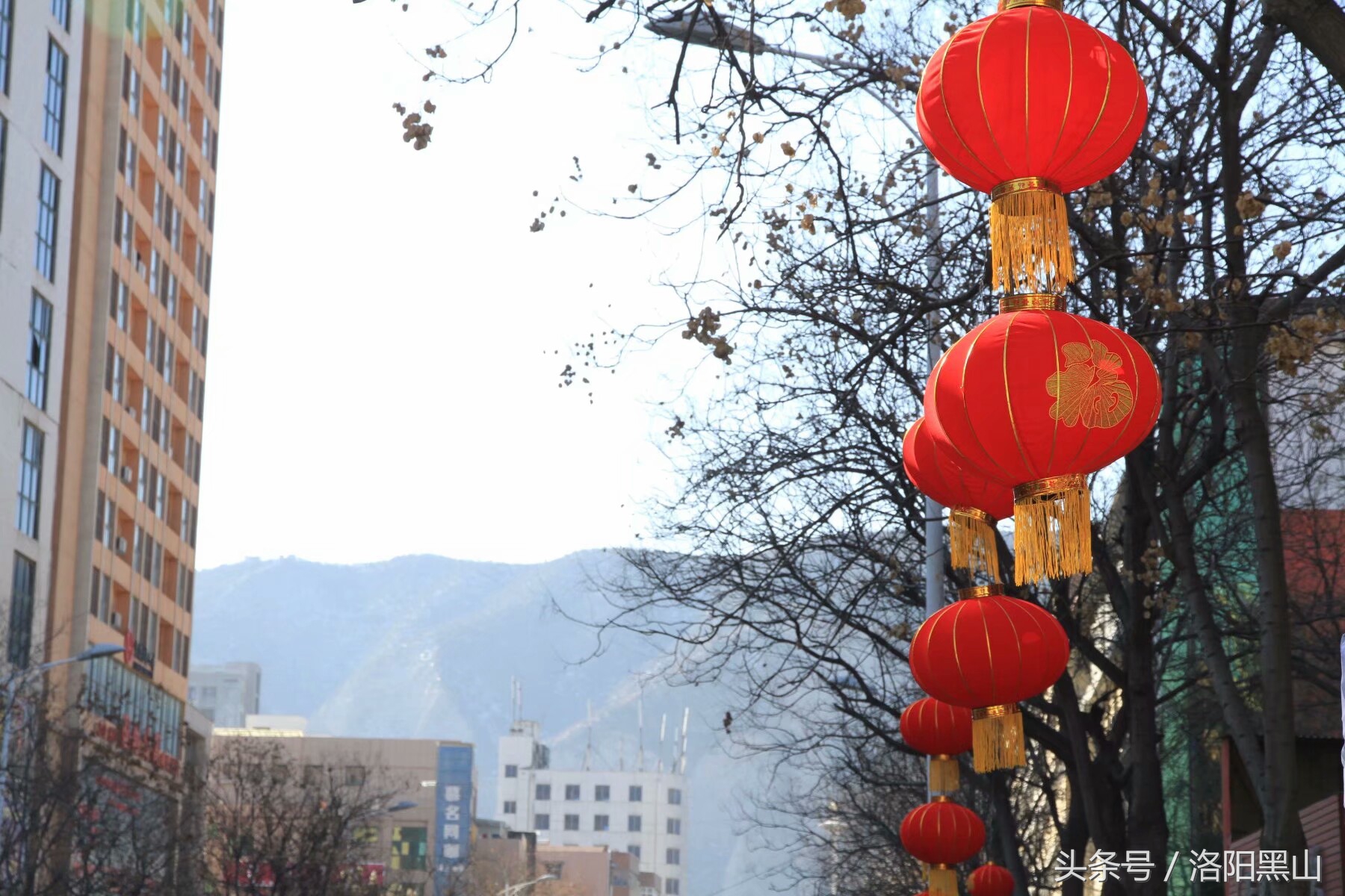 宜阳小灯笼,宜阳红灯笼