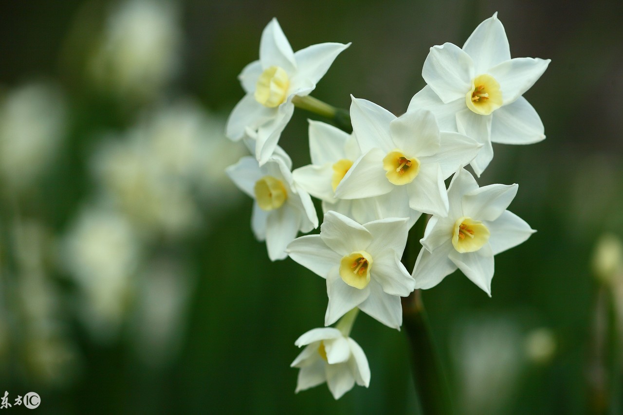 不被在乎的三种人,你应该在乎的三种人