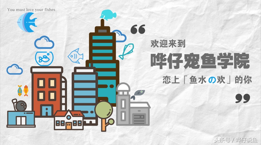 我的鱼缸怎么都是水碱,我的鱼缸水很浑浊怎么办