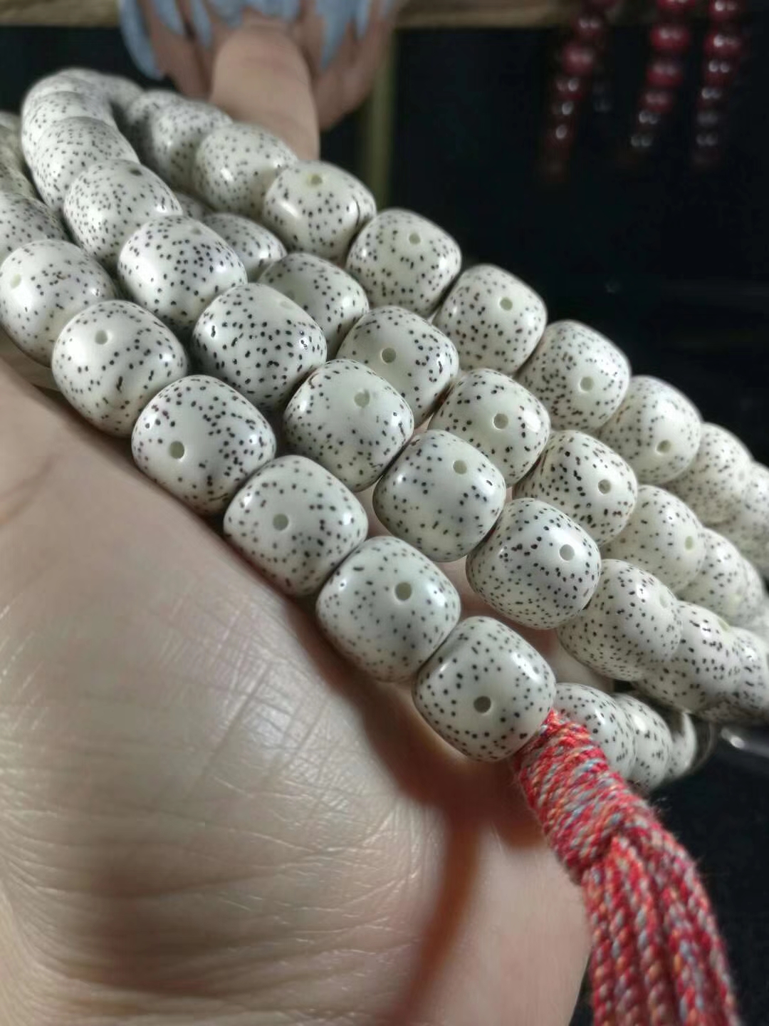 星月菩提尖货,极品星月菩提大留白鸡油黄