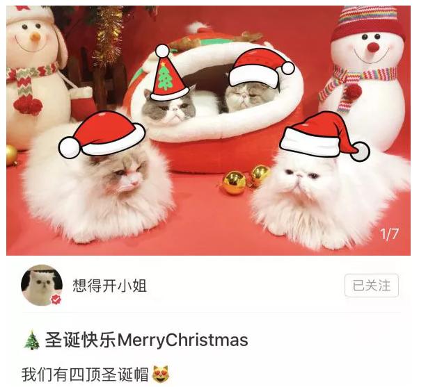 范冰冰做起了美妆博主 (范冰冰在哪当美妆博主)