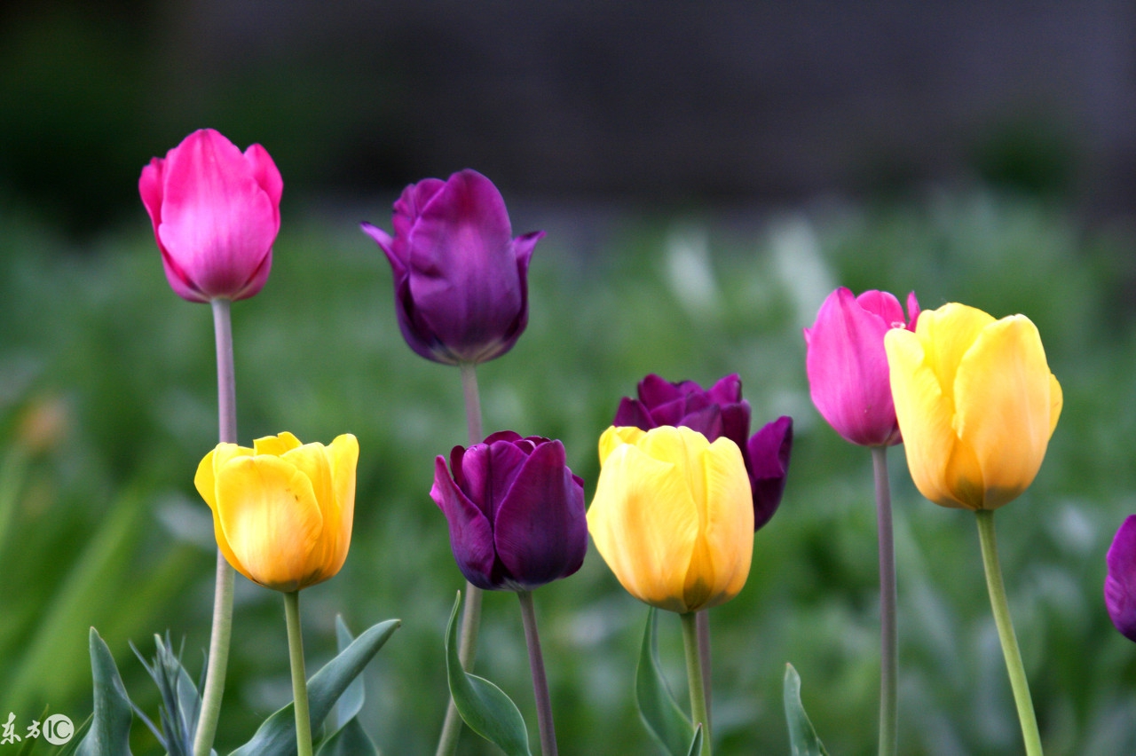 不被在乎的三种人,你应该在乎的三种人