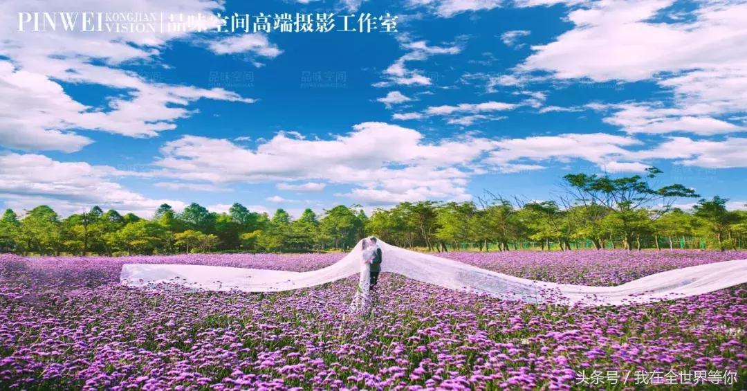 婚纱照选片技巧及注意事项图片,婚纱照选片是原片还是修图选片