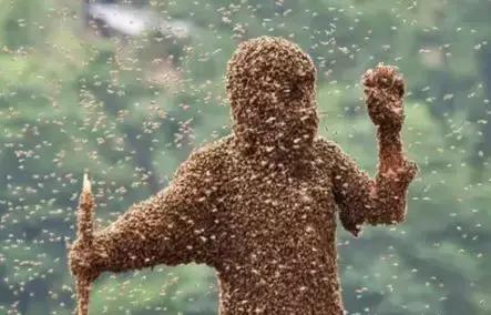 养蜂人揭秘中蜂,30年养蜂人教你如何辨别真假蜂蜜