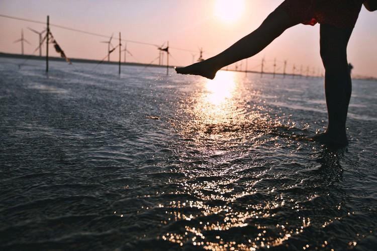 假期又有新去处了!高美湿地:摄影师的创作天堂、娱乐天地