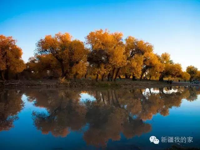 面积是全国最大县，农民收入直逼上海，说的就是*疆新**这个县