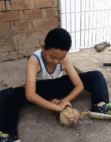 搞笑gif合集大妈你一定要hold住啊,搞笑gif合集2016