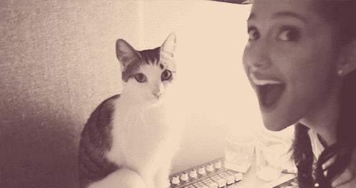 如何做一只合格小公猫,怎么做猫才会让猫喜欢你