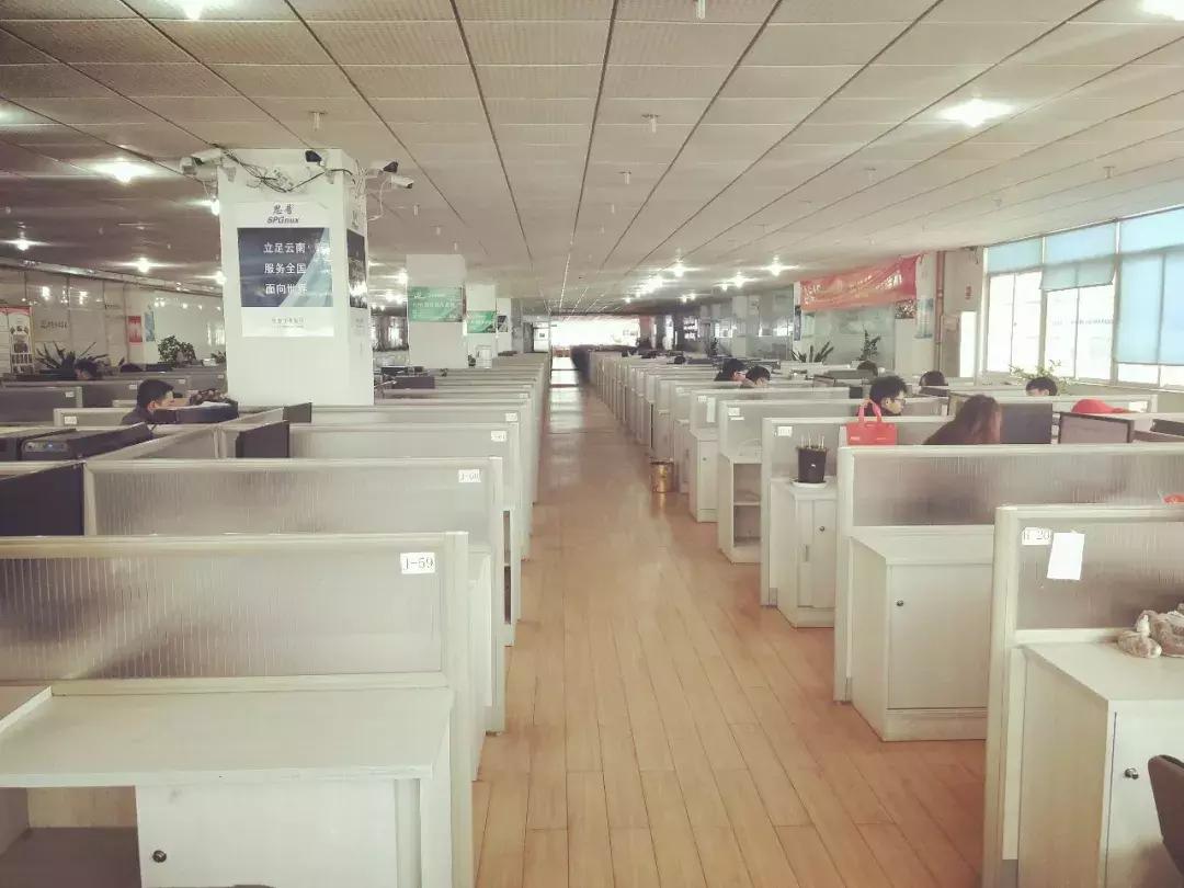 思普喜报丨思普投资有限公司获批昆明市高校毕业生就业见习基地!