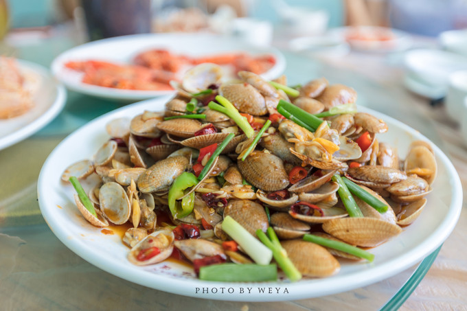 面面旅拍—诉不完千古泪，道不停三亚情，这个冬天我们掌心有太阳