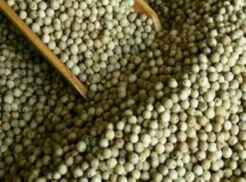 种植胡椒多少钱一斤,胡椒价格最新消息胡椒产地