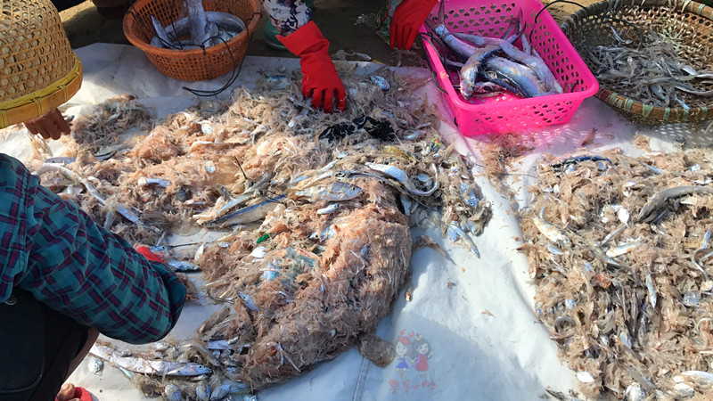 看我国仅次于死海和红海的最咸海区！吃比广东还好吃的烤乳猪！