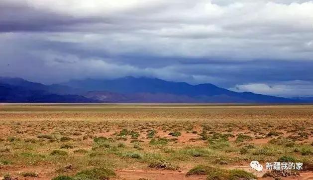 面积是全国最大县，农民收入直逼上海，说的就是*疆新**这个县