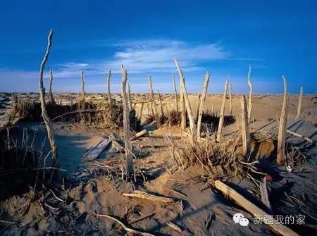 面积是全国最大县，农民收入直逼上海，说的就是*疆新**这个县