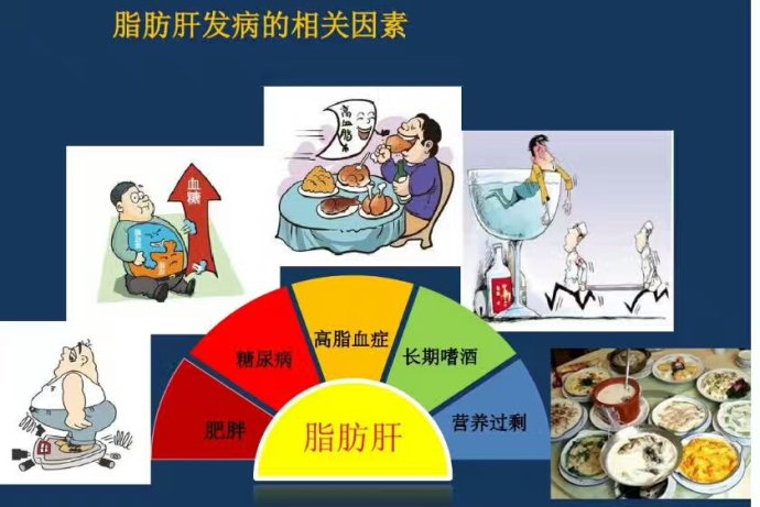 脂肪肝是可以逆转的,脂肪肝如何治疗才好得快