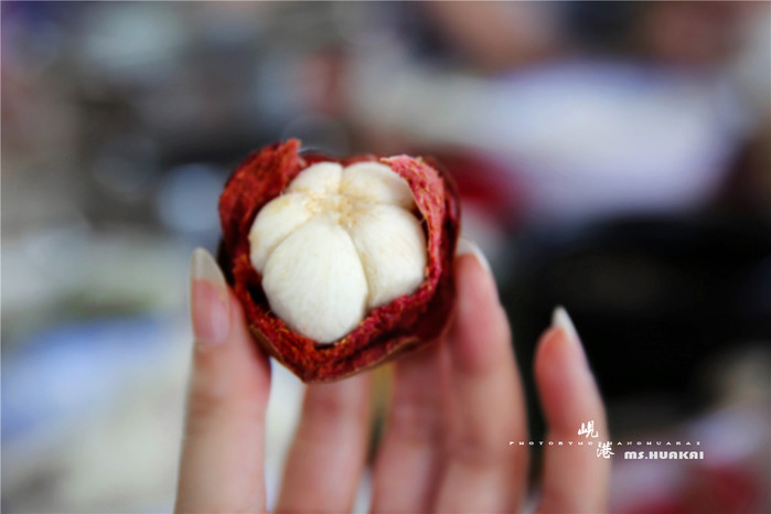 ◆周末度假去哪儿◆——在越南岘港逛吃逛吃